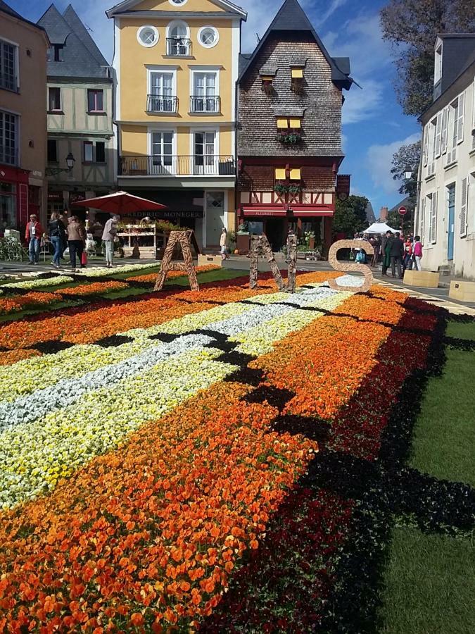Logis Louisblanc, Muraille Romaine, Lit Queen-Size, Centre Ville Ле-Ман Экстерьер фото